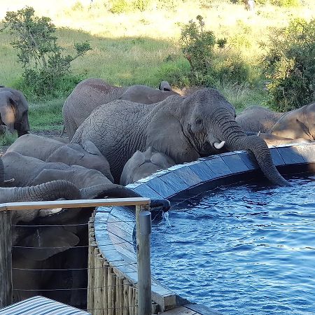 Nambiti Plains Lodge Ladysmith Esterno foto