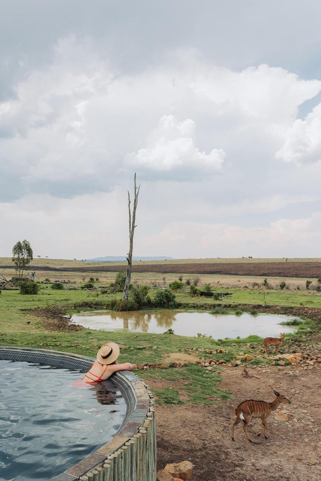 Nambiti Plains Lodge Ladysmith Esterno foto
