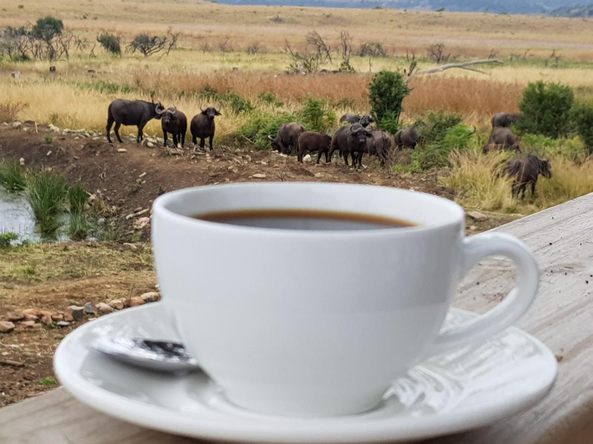 Nambiti Plains Lodge Ladysmith Esterno foto