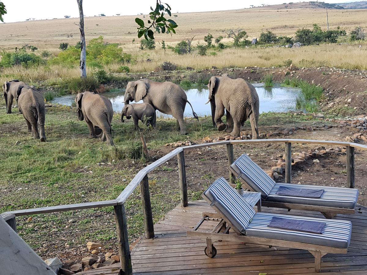 Nambiti Plains Lodge Ladysmith Esterno foto