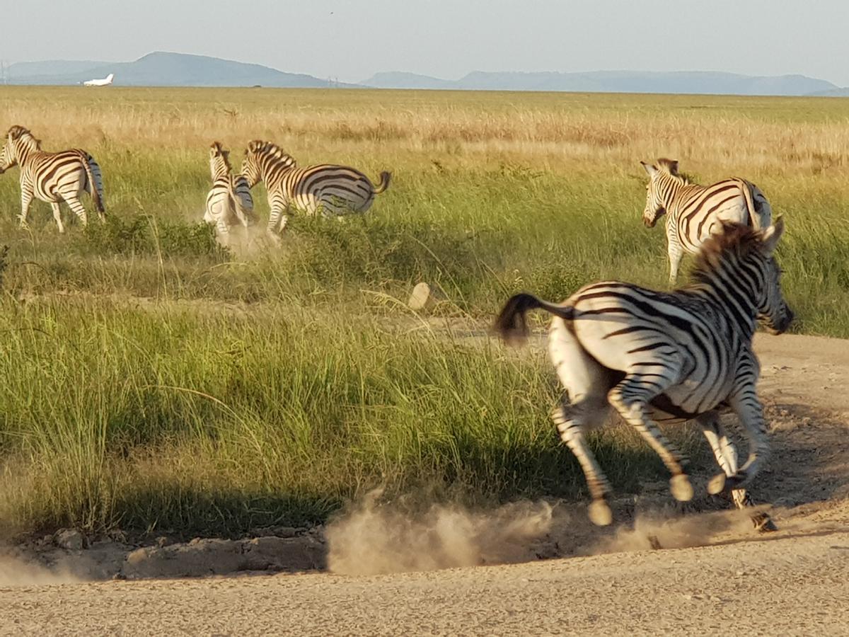 Nambiti Plains Lodge Ladysmith Esterno foto